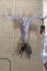 Hanging Hook- Self Adhesive Deer Head Hanging Hook (Pack of 1)